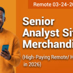 Senior Analyst – Site Merchandising Role